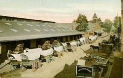 Early tobacco market